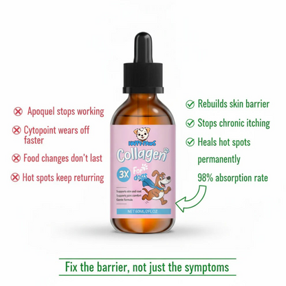 Premium Liquid Dog Collagen