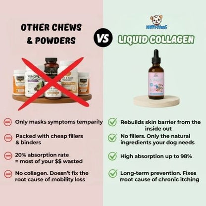 Premium Liquid Dog Collagen