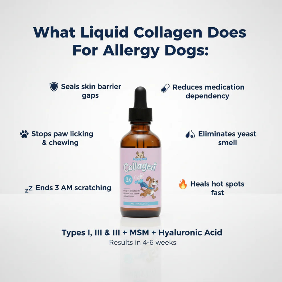 Premium Liquid Dog Collagen