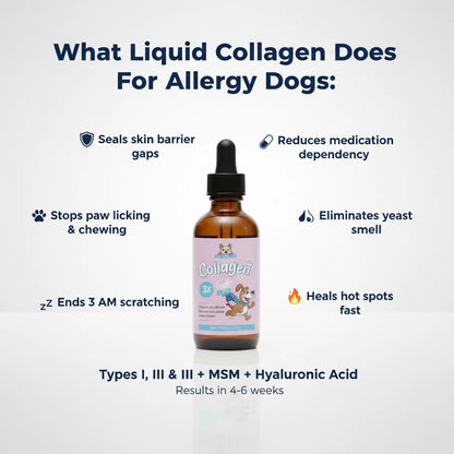 Premium Liquid Dog Collagen