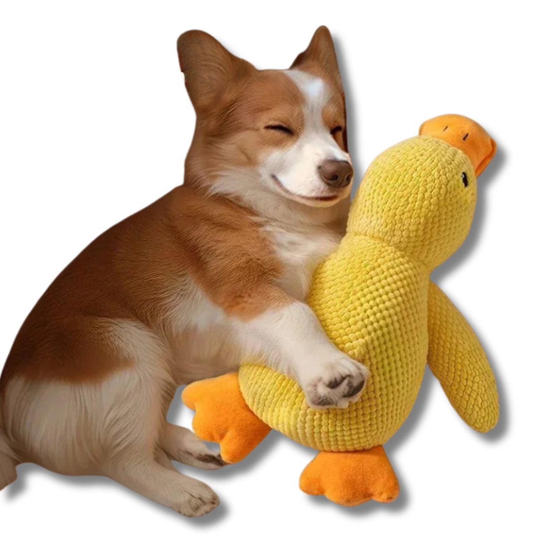 Calming Duck Plush